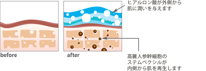 保湿と再生効果