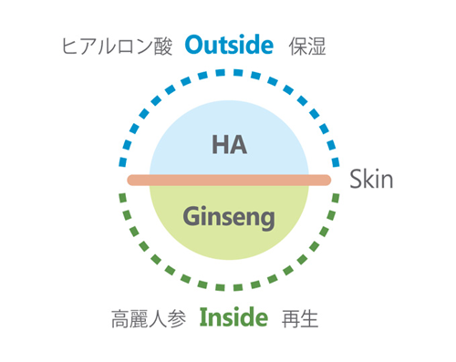 ヒアルロン酸保湿