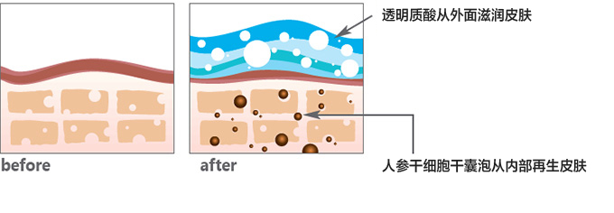 保湿と再生効果