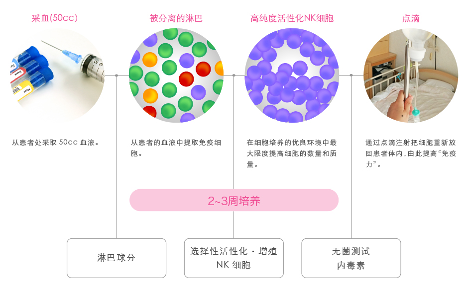 免疫细胞疗法的流程