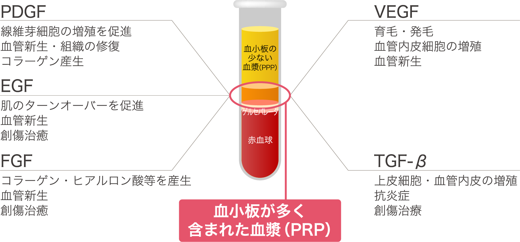 PRP（多血小板血漿）に含まれる主な成長因子